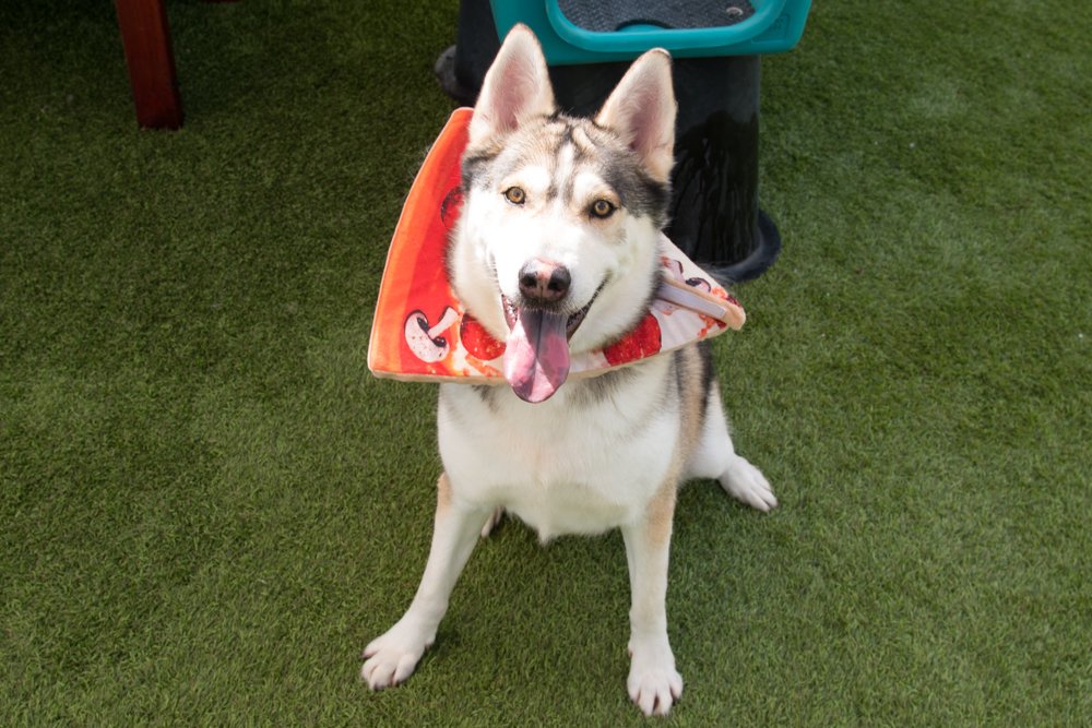 Colonel A068310-4488.jpg