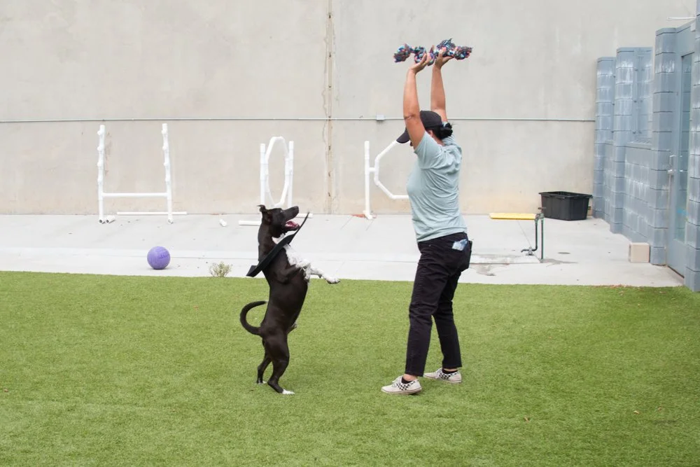 Dubs A069340-4305.jpg