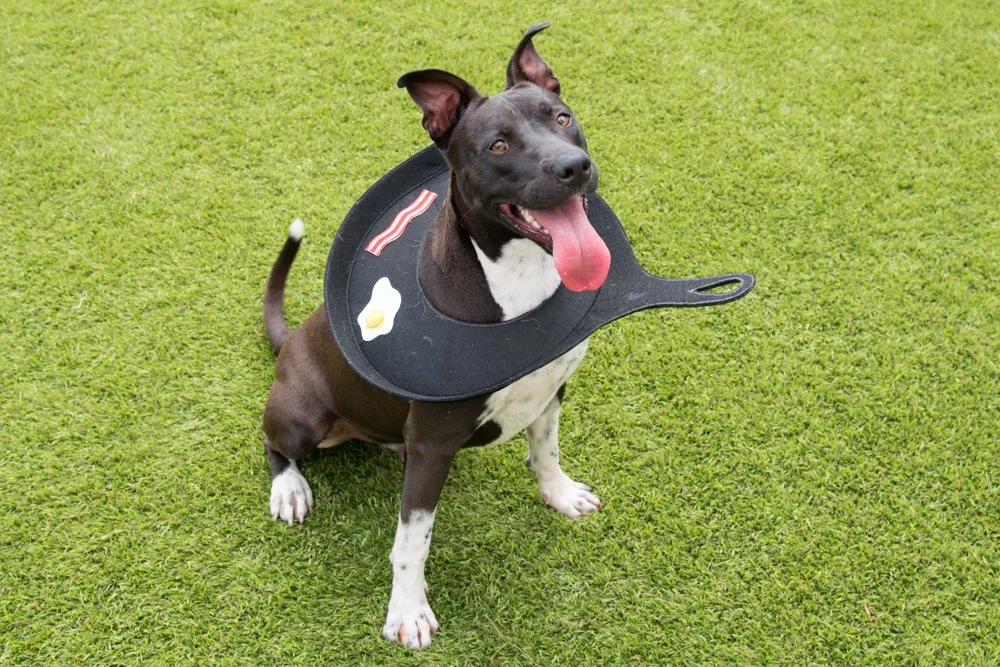 Dubs A069340-4331.jpg
