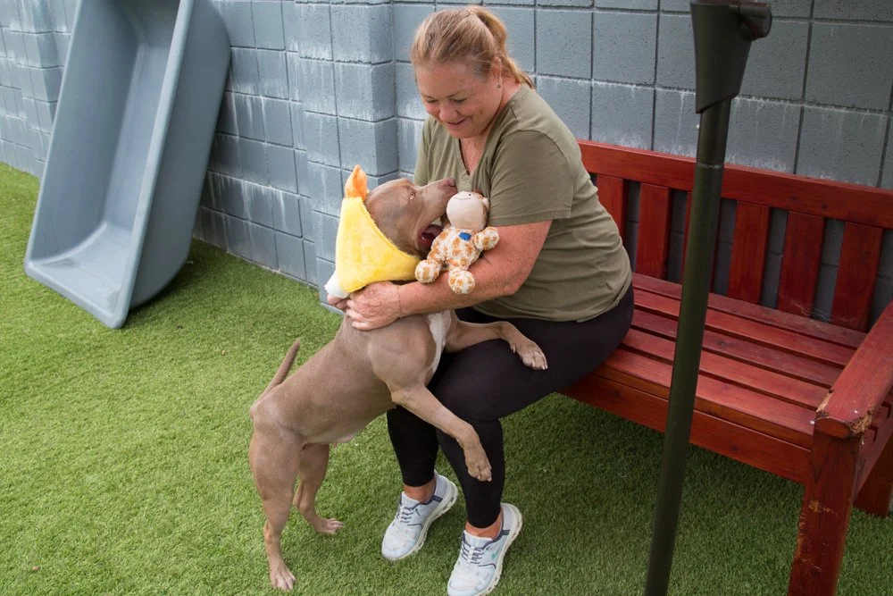 Ember A069429-4983.jpg