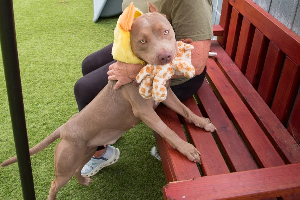 Ember A069429-4989.jpg