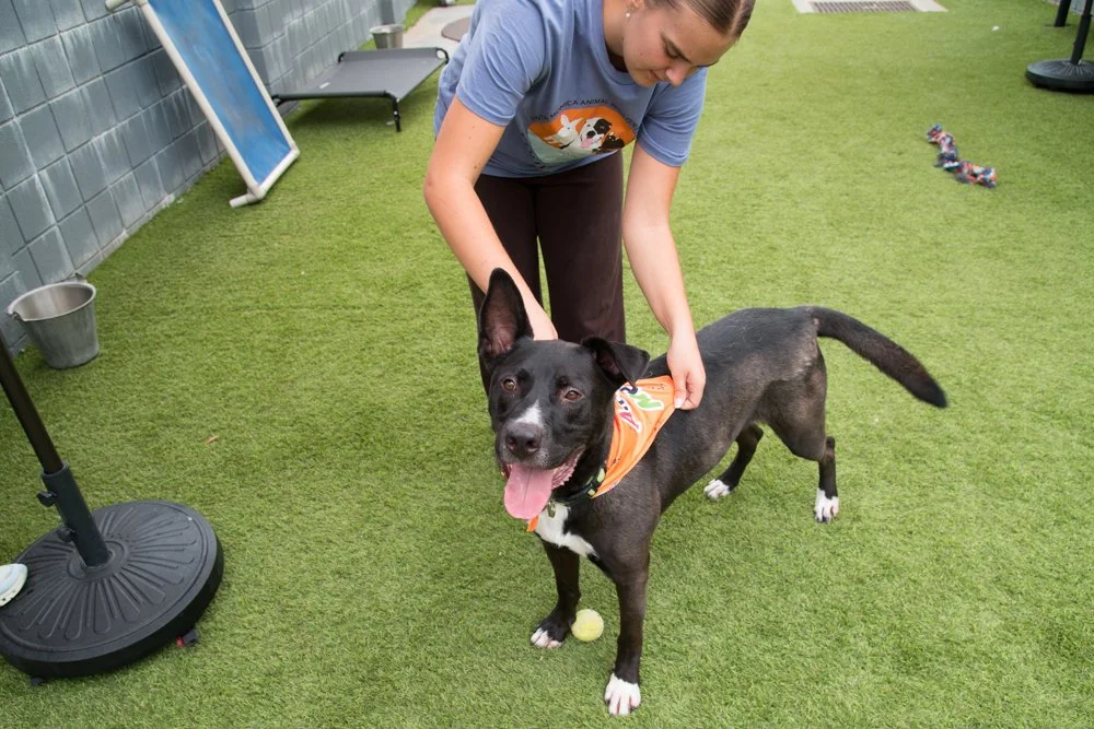 Pete A065318-4382.jpg