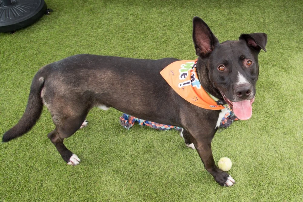 Pete A065318-4398.jpg