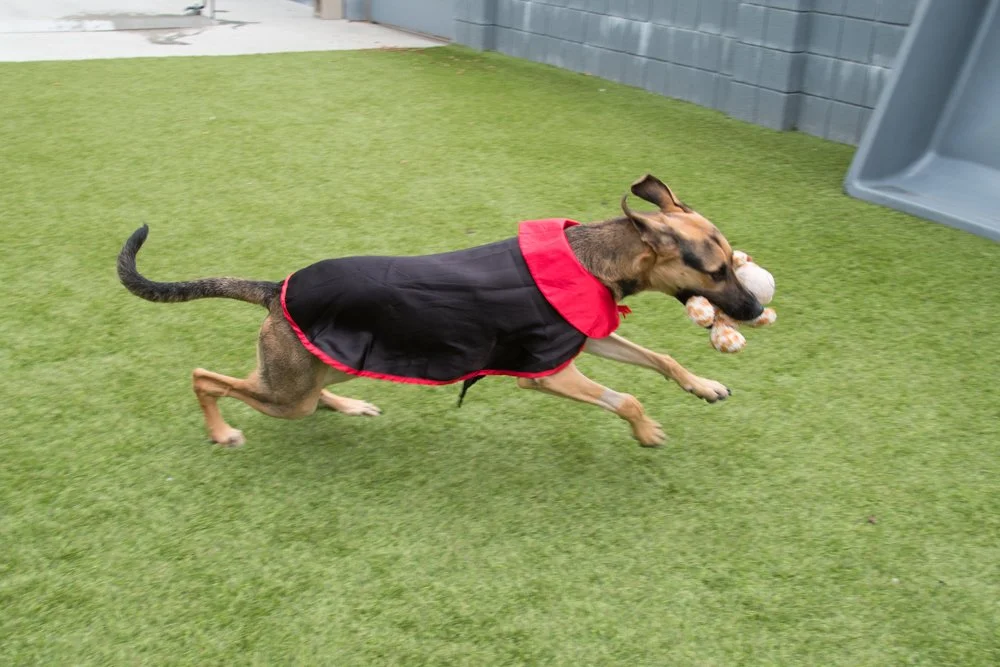 Theo A069314-4815.jpg