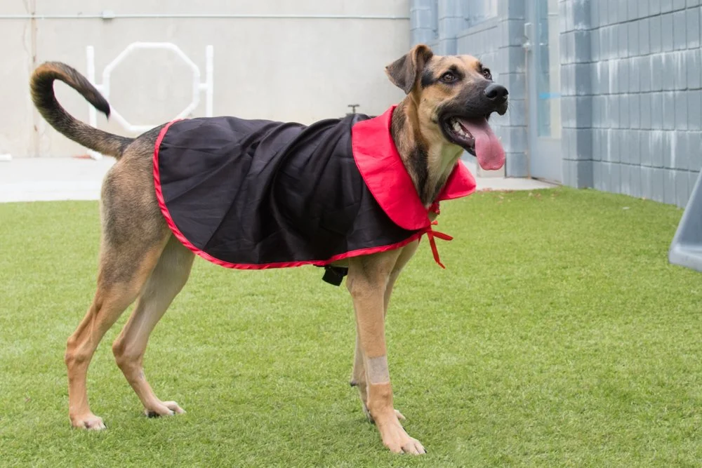 Theo A069314-4831.jpg
