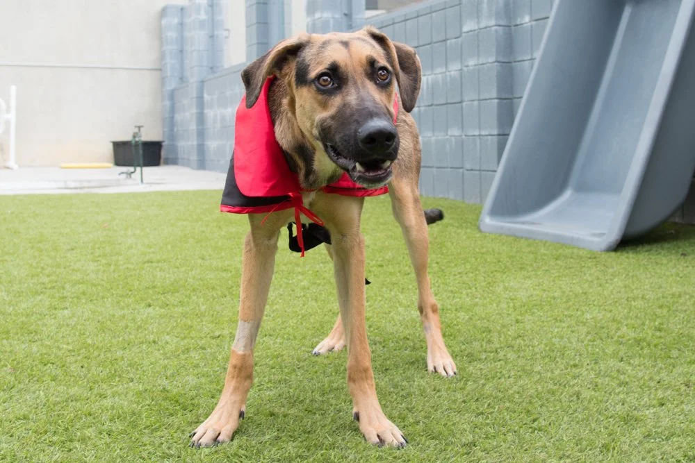 Theo A069314-4847.jpg