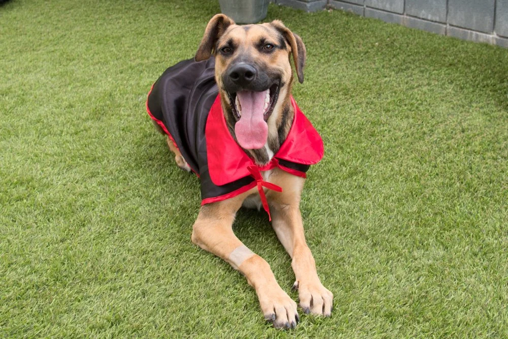 Theo A069314-4894.jpg