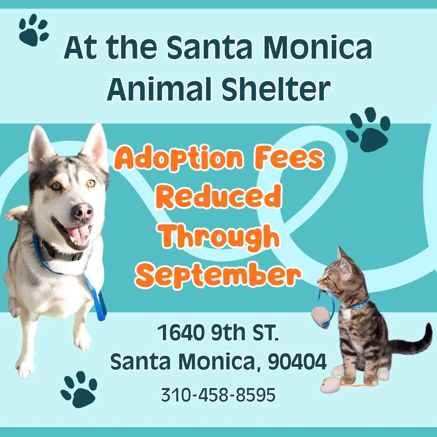 Reduced Adoption Fees through September 2026 at the SM Animal Shelter Flyer