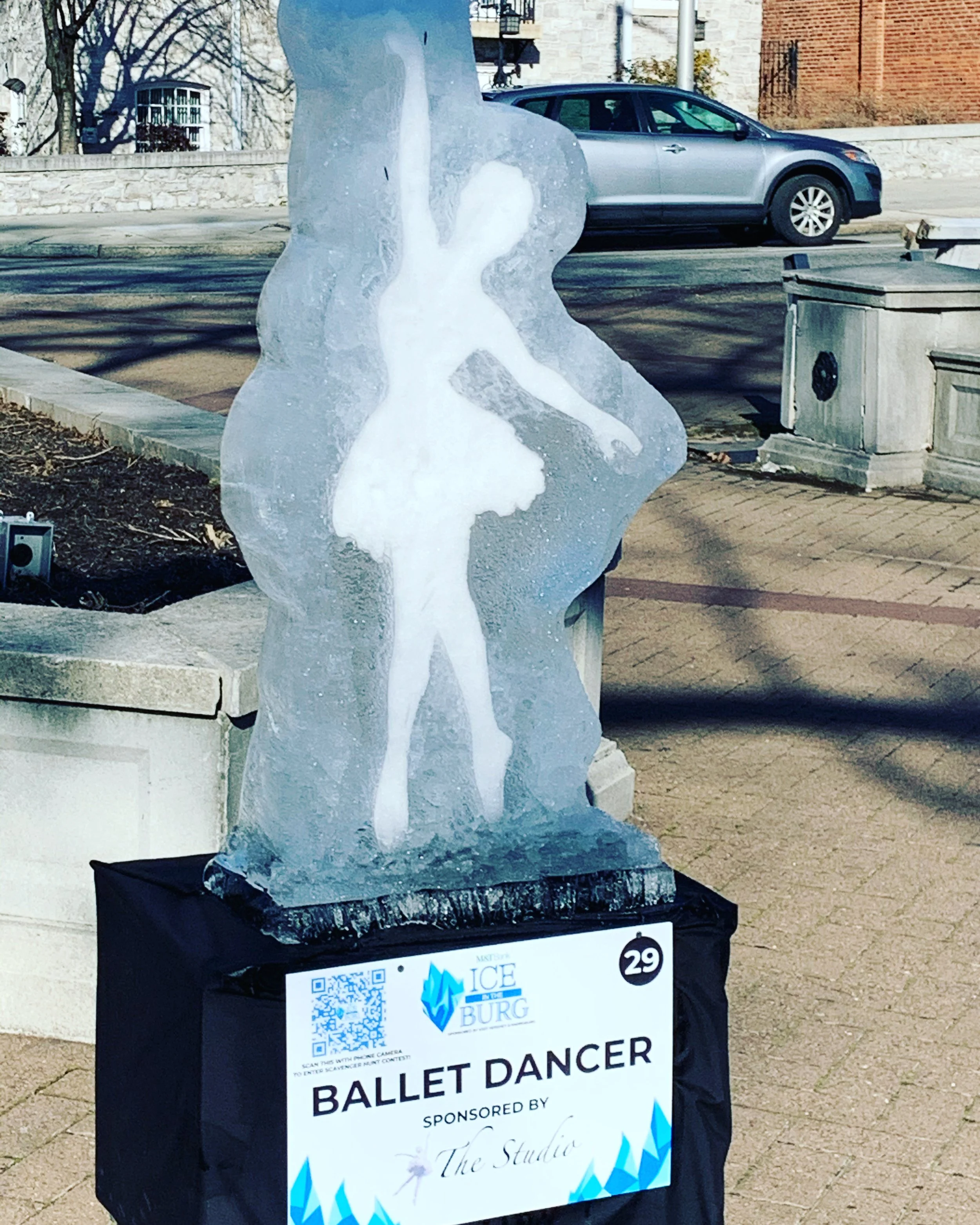 Harrisburg Ice &amp; Fire March 5th