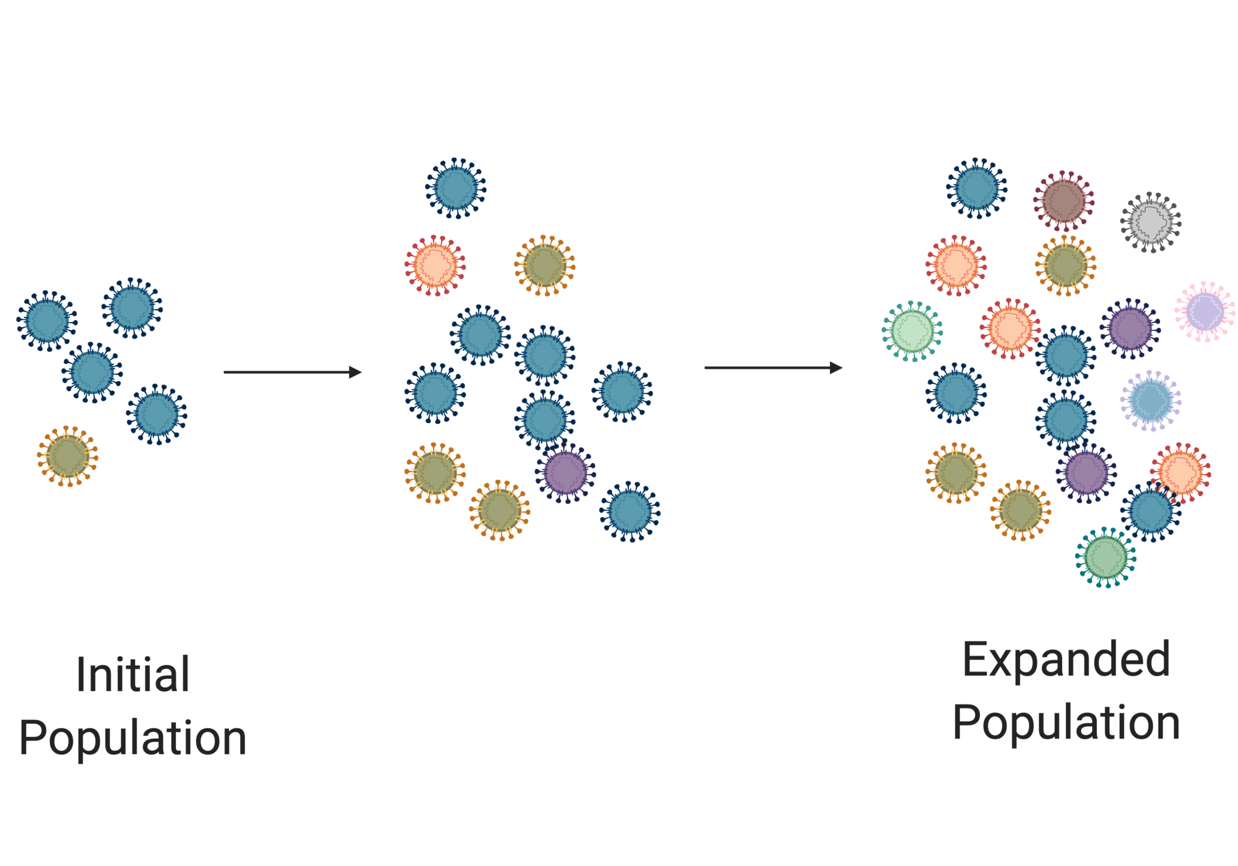 Viral Mutations.png