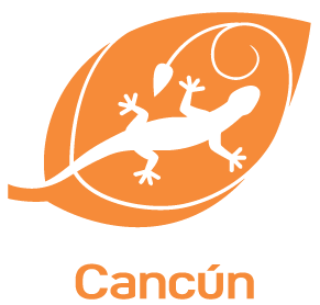 CANCUN.png