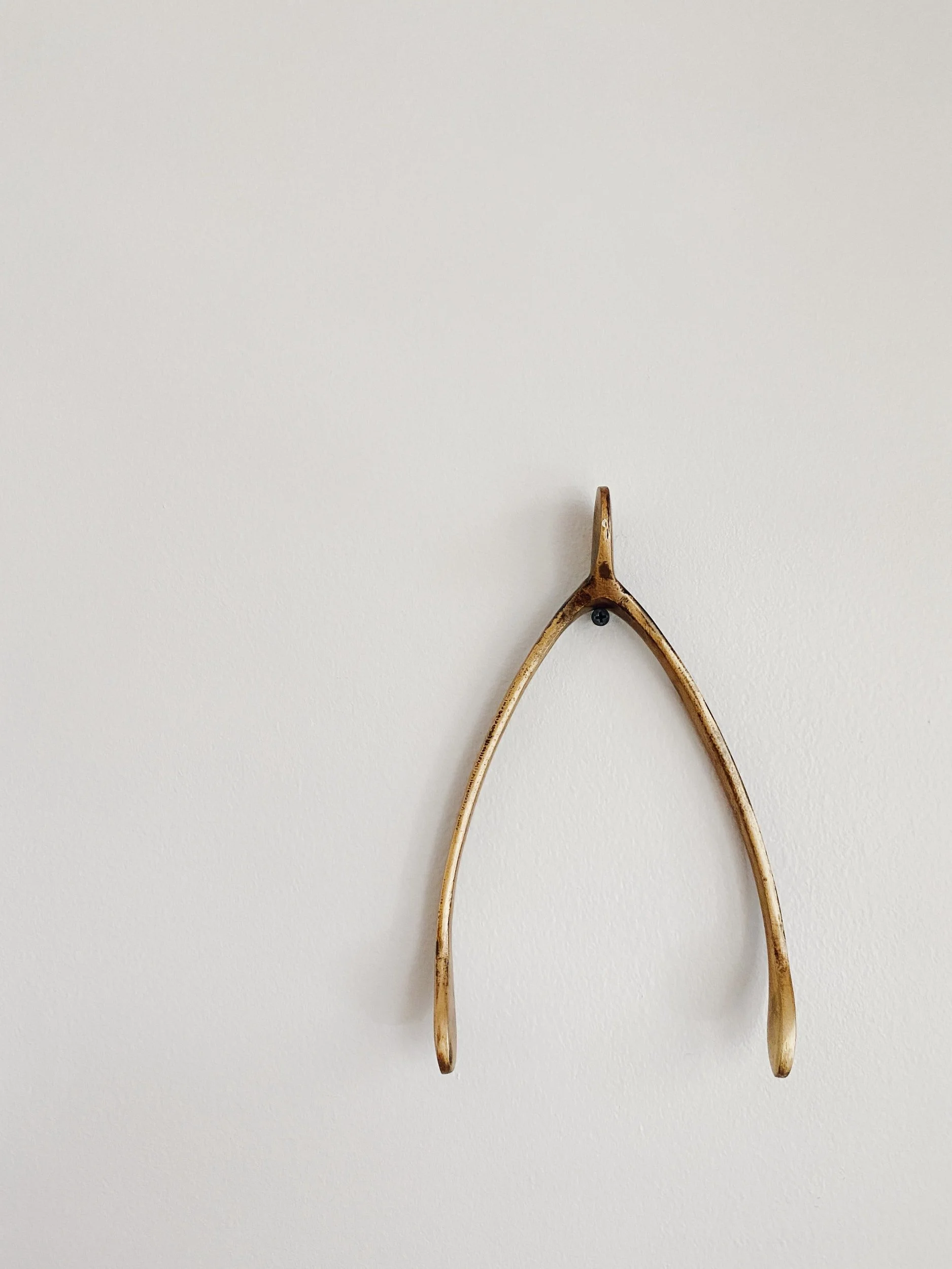 Wishbone