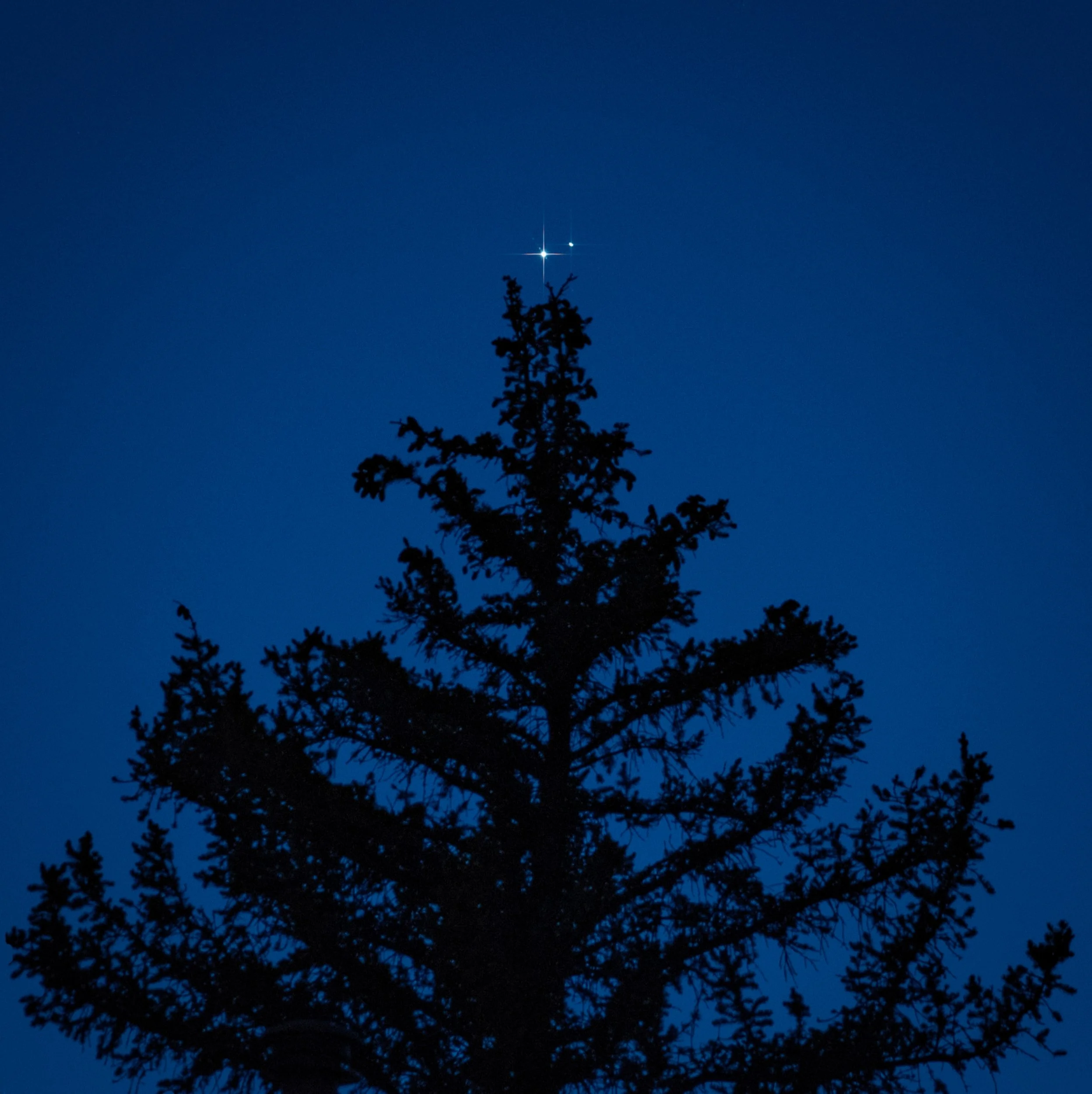 The Christmas Star