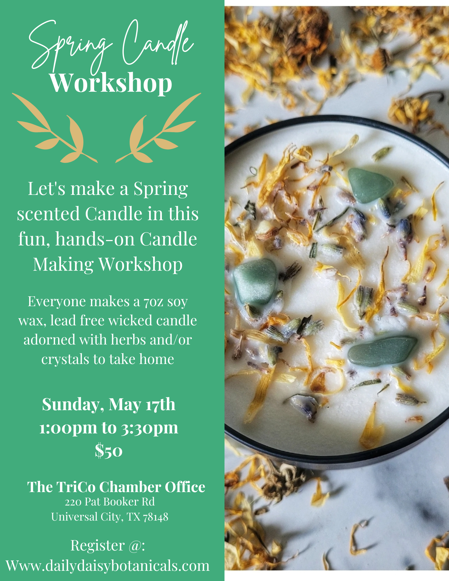 daily-daisy-botanicals-tri-county-chamber-of-commerce-universal-city-texas-spring-candle-workshop-2026.png