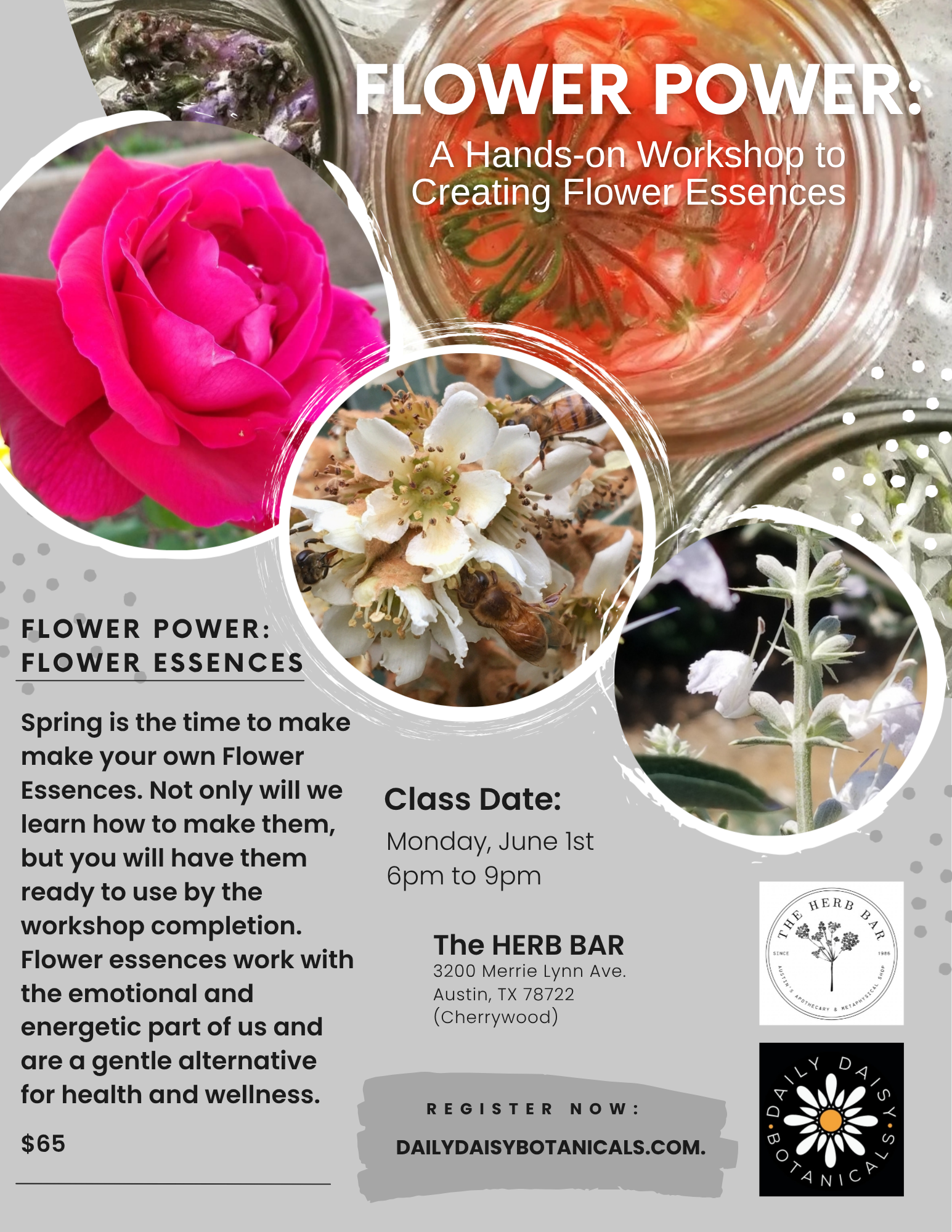 daily-daisy-botanicals-flower-essence-workshop-flyer-the-herb-bar-atx-june-1-2026.png