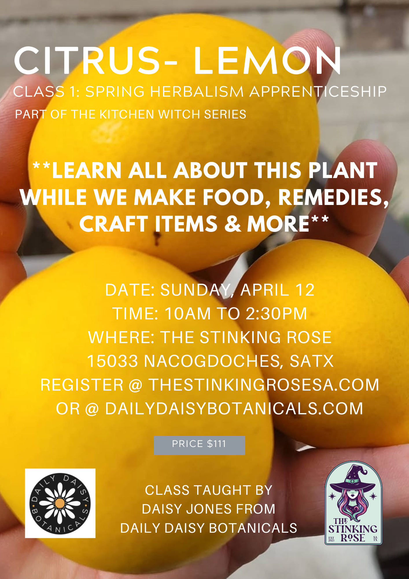 Citrus Lemon Herbal Group Workshop