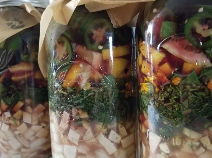 daisy brewing fire cider workshop san antonio daily daisy botanicals