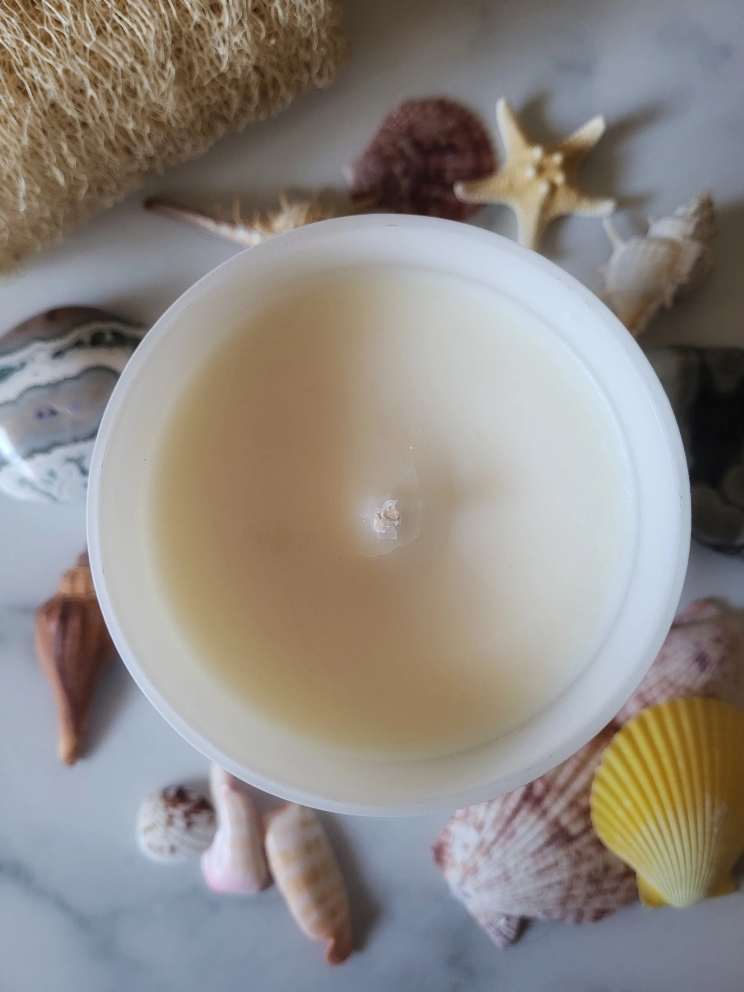 🌴☀️ 12 Oz. Tropic Like It's Hot Candle 🌴☀️ 