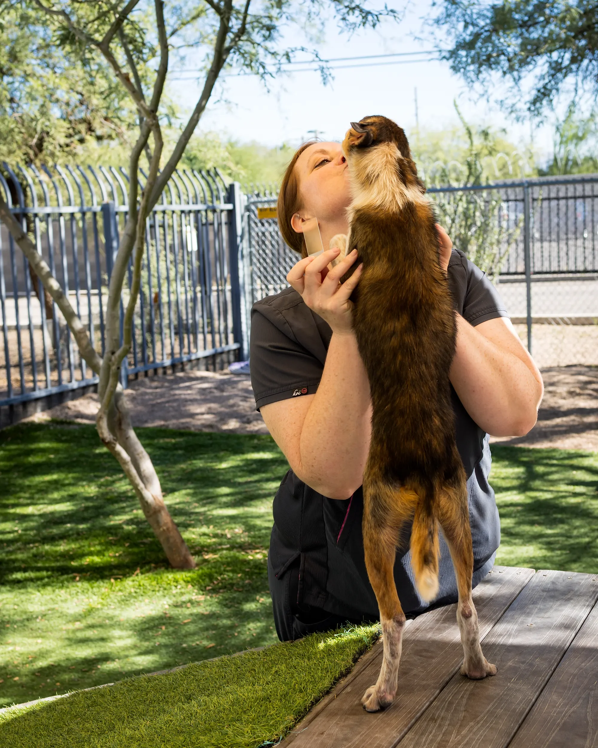 Puppy-getting-kiss-from-vet-during-outdoor-exam.webp