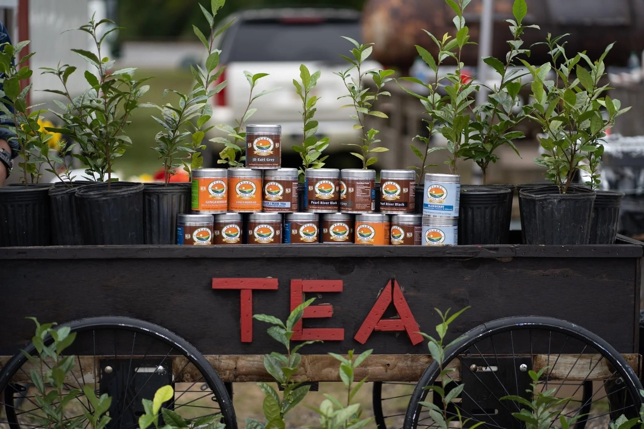 Sweet Mississippi Tea Festival