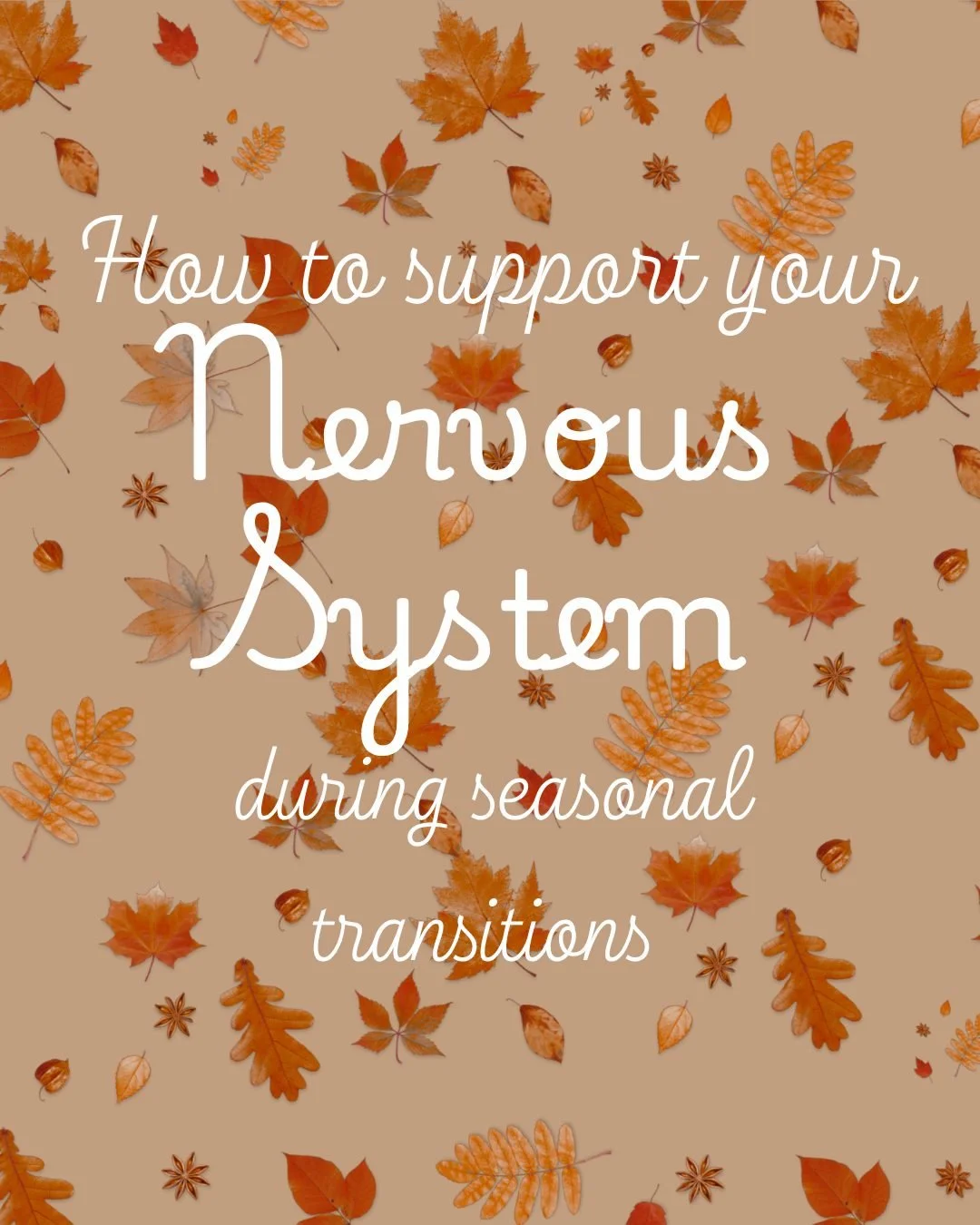 Your nervous system feels the shift when seasons change 🍂 
As we move into fall, shorter days, cooler temps, and changing light patterns can impact how our bodies regulate stress, sleep, and mood&mdash;especially for growing babies, little ones, and