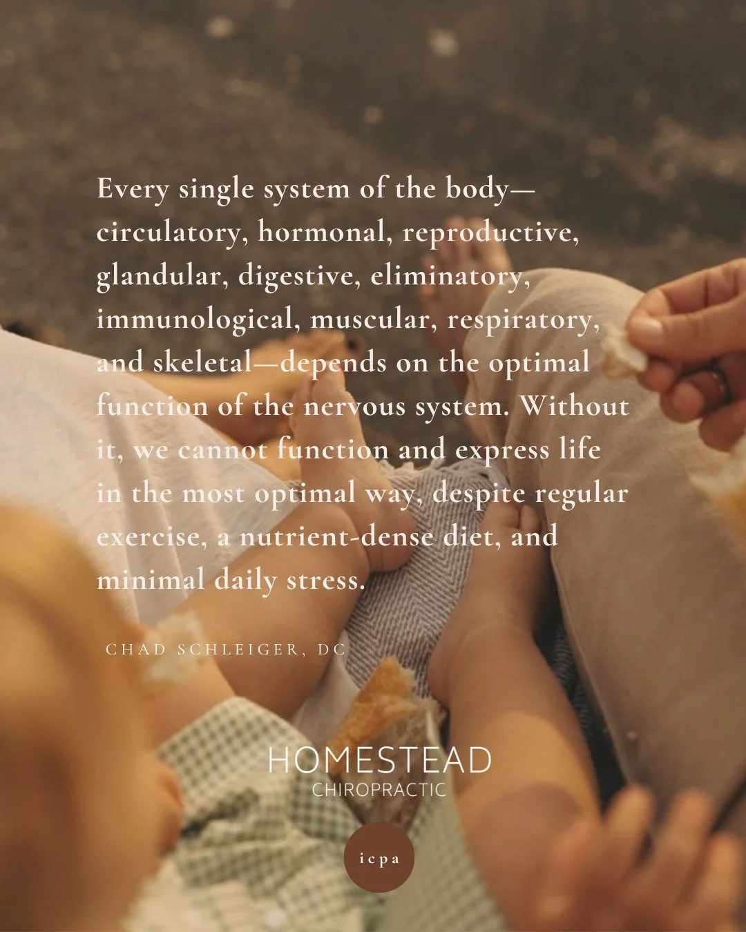 Chiropractic care helps your body do what it was designed to do &mdash; function, heal, and live fully🌱 

#Homestead #Pediatricchiropractor #family #Naturalhealing #Bettendorf