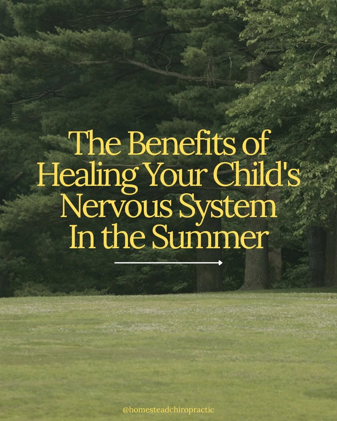 School&rsquo;s out, and nervous system healing is in! ☀️

Link in bio to schedule your neurological scans!

#bettendorf