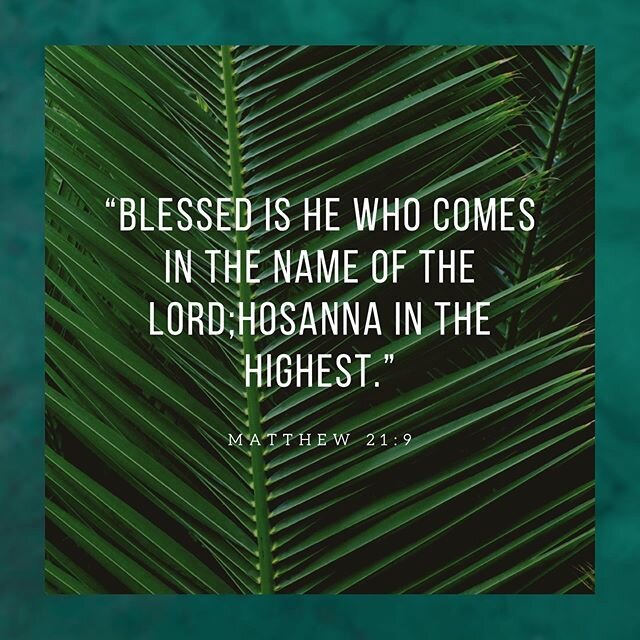 Today the crowds of Jerusalem went before Christ shouting &ldquo;Hosanna&rdquo; and followed Him with praises! Yet, by the end of the week the same crowd is shouting &ldquo;Crucify him!&rdquo; Are we not this crowd? One moment adoring our savior and 