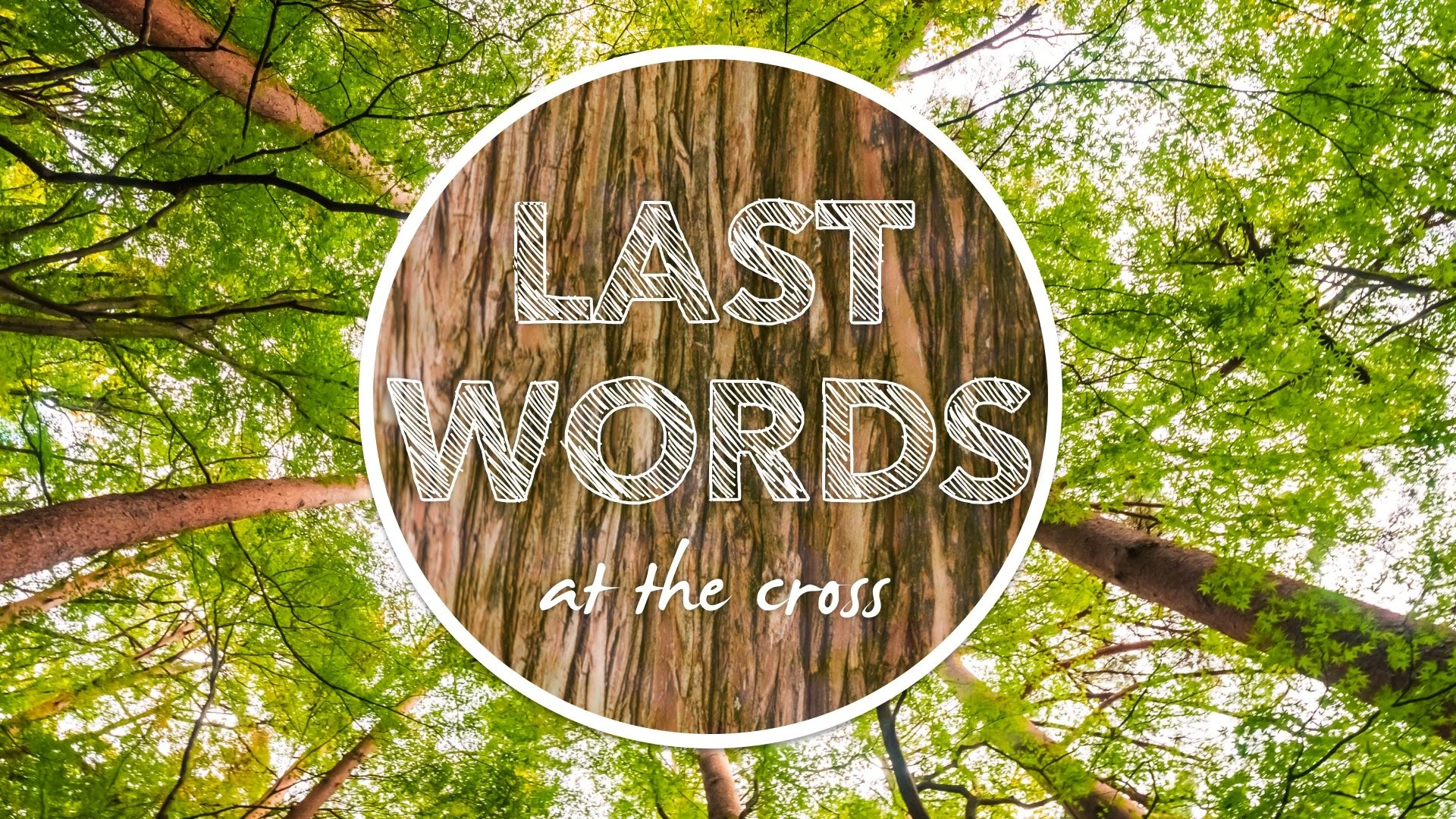 "Father, Into Your Hands I Commit My Spirit" - LAST WORDS at the cross Ep. 6