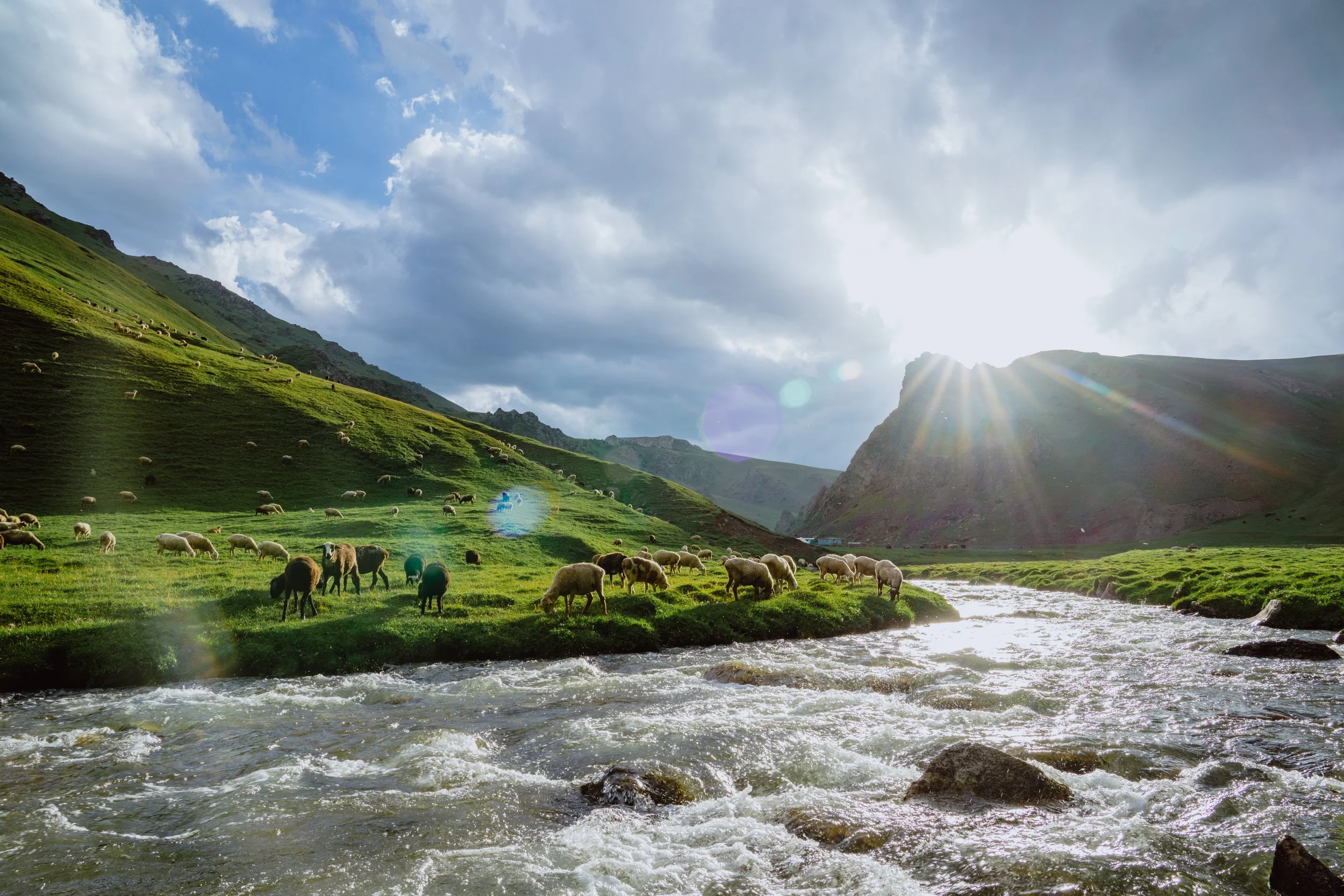 Psalm 23 | The Lord is my Shepherd