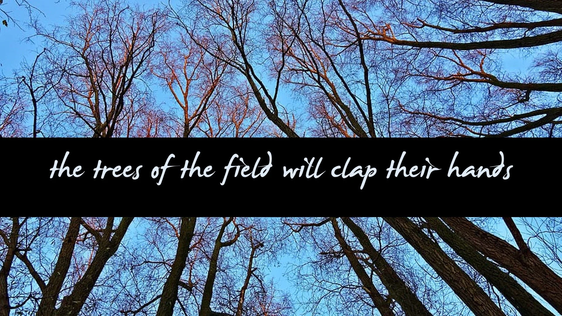 The Trees Of The Field Will Clap Their Hands 🌳 Foundations for Joy &amp; Peace in 2023