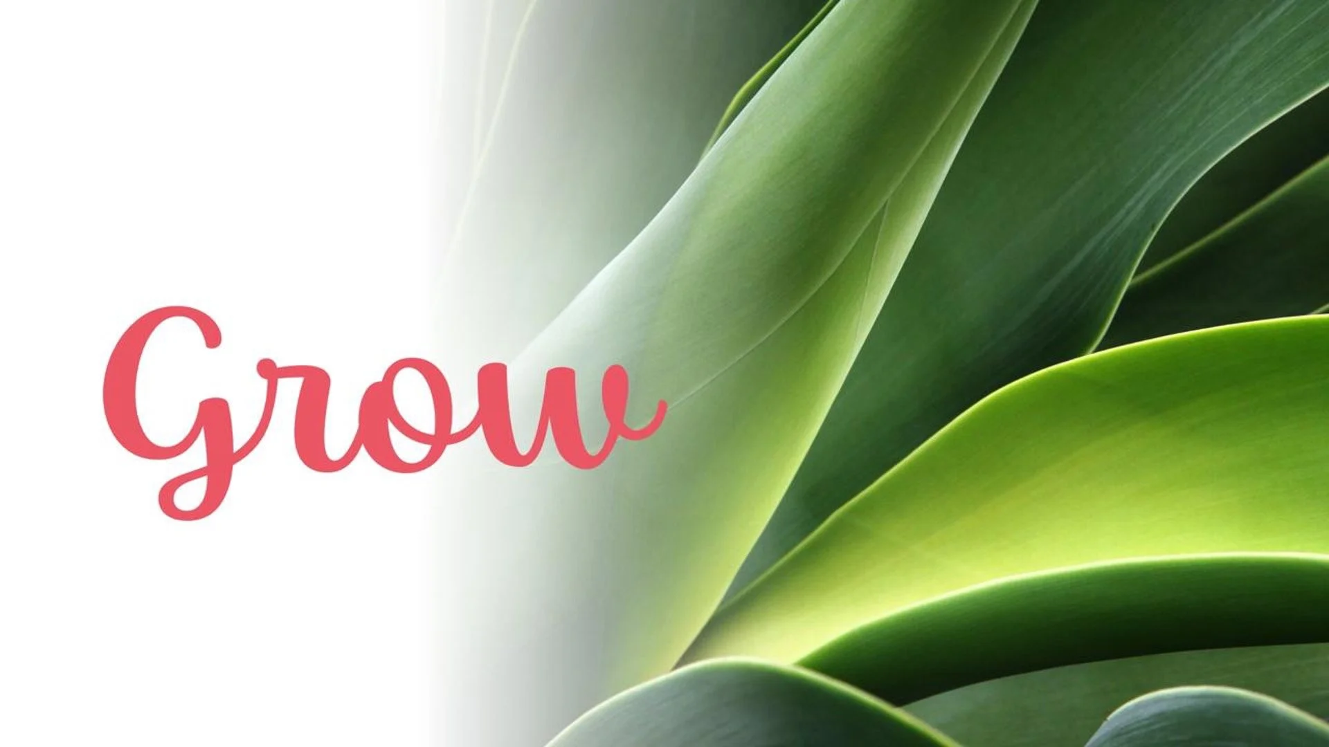 Daily Courage : GROW 🌱 Ep. 14