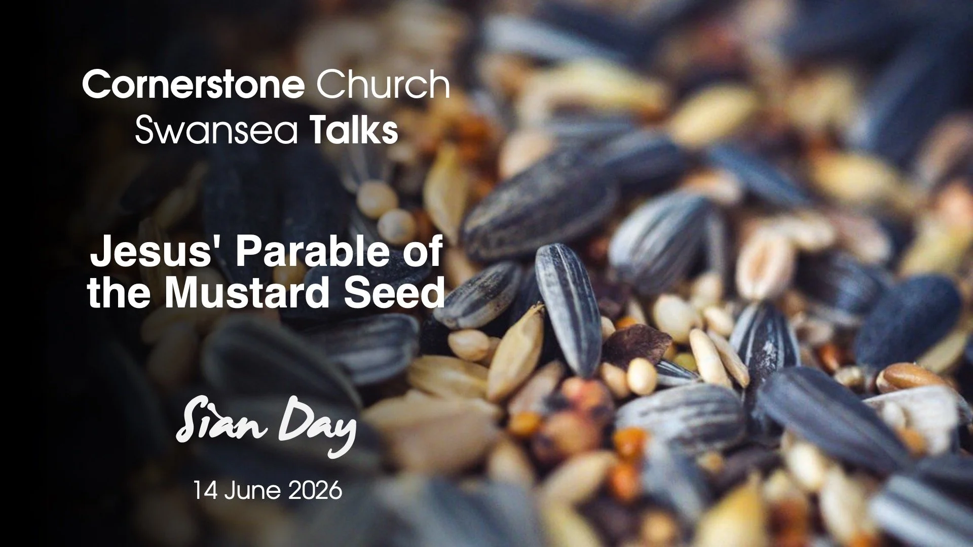 Jesus' Parable of the Mustard Seed