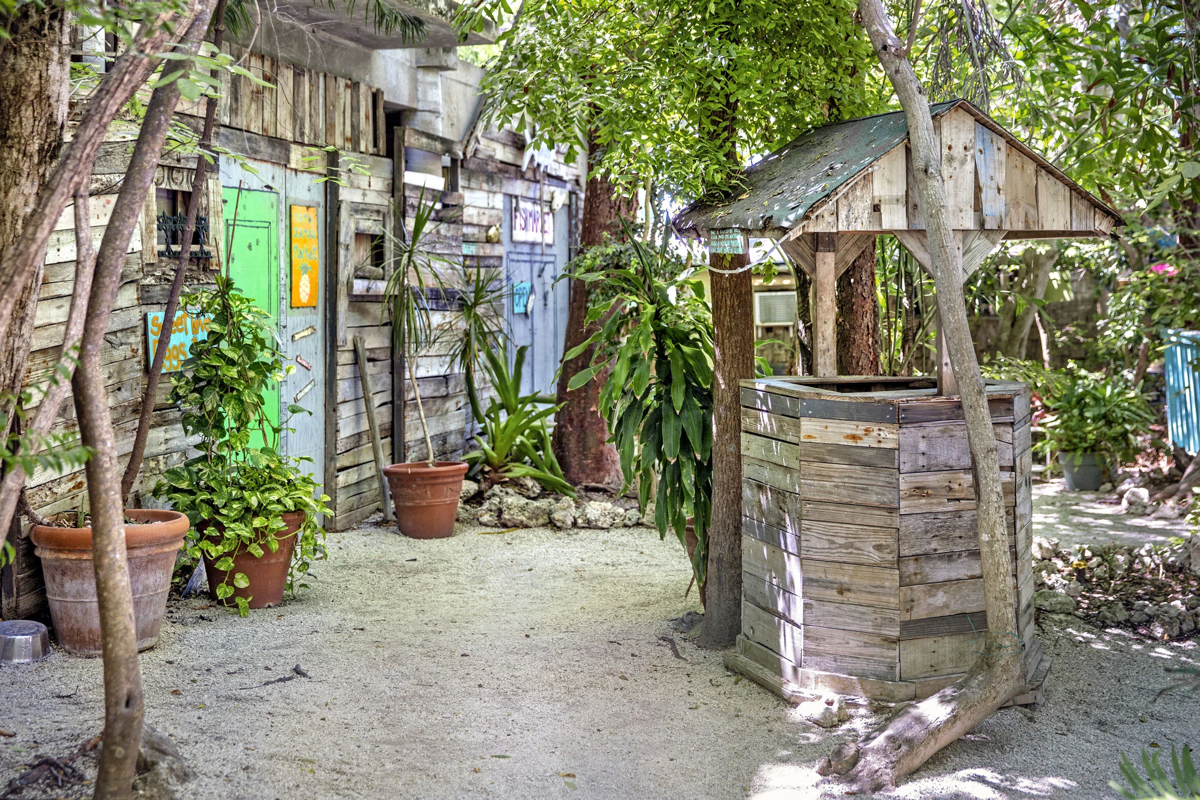 Lush Garden