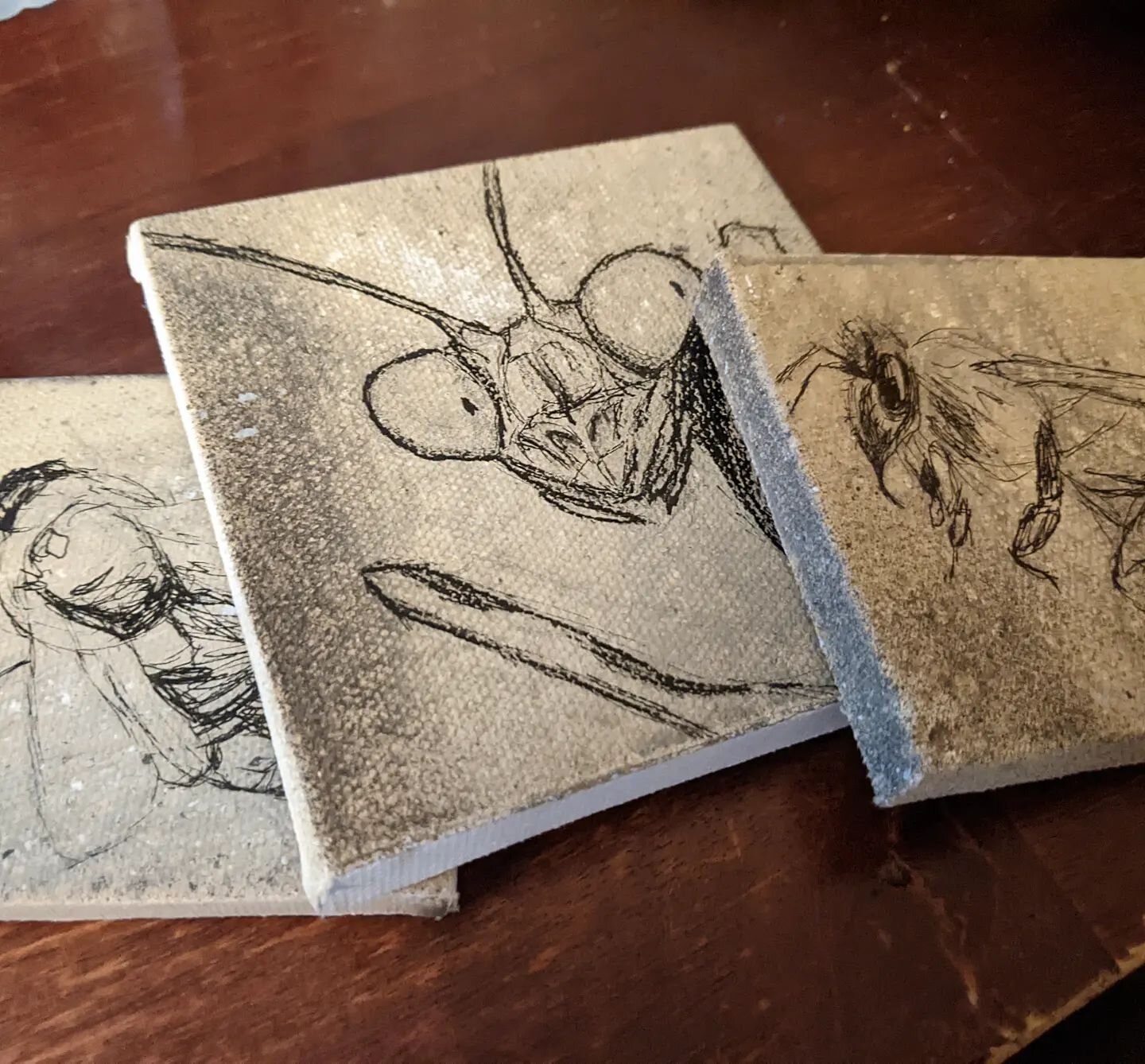 A look at the mini series I'm making! (There will be nine pieces altogether!). I really love working small, it's so satisfying to make something amazing at such a small scale!
.
.
#minipainting  #prayingmantis #honeybee #bumblebee #wip #mixedmedia #s