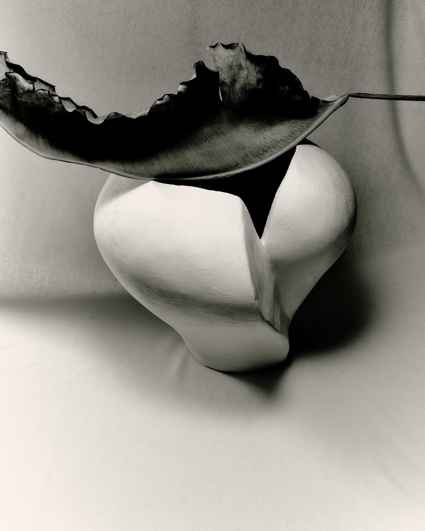 A study in Restraint
Photographed by @chelsielcraig 
Styled by @kalen_k_ 
Vessel by @lostquarry