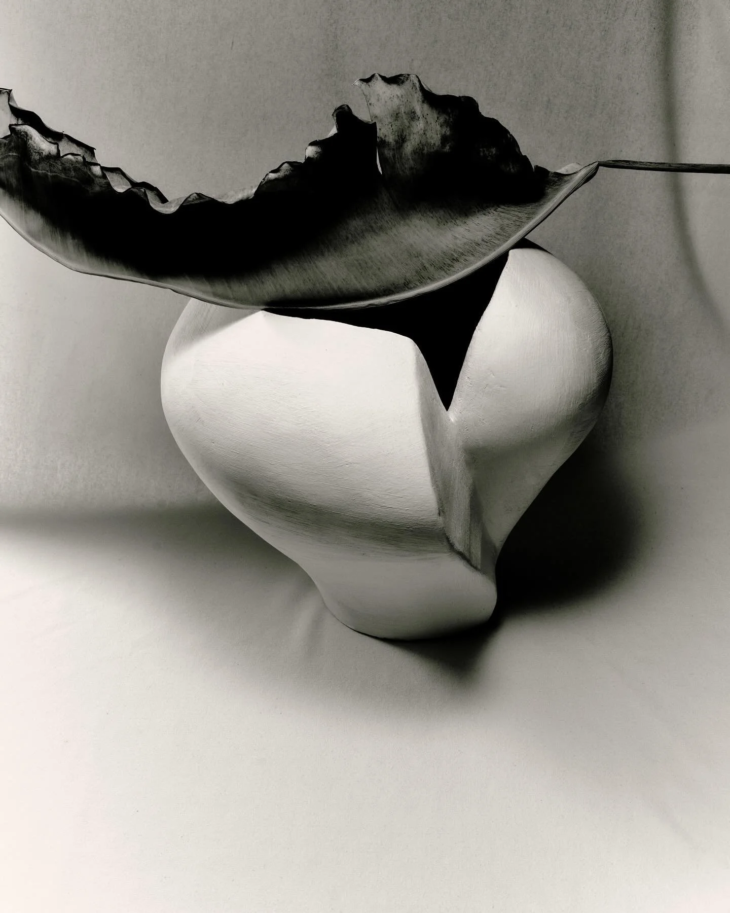 A study in Restraint
Photographed by @chelsielcraig 
Styled by @kalen_k_ 
Vessel by @lostquarry