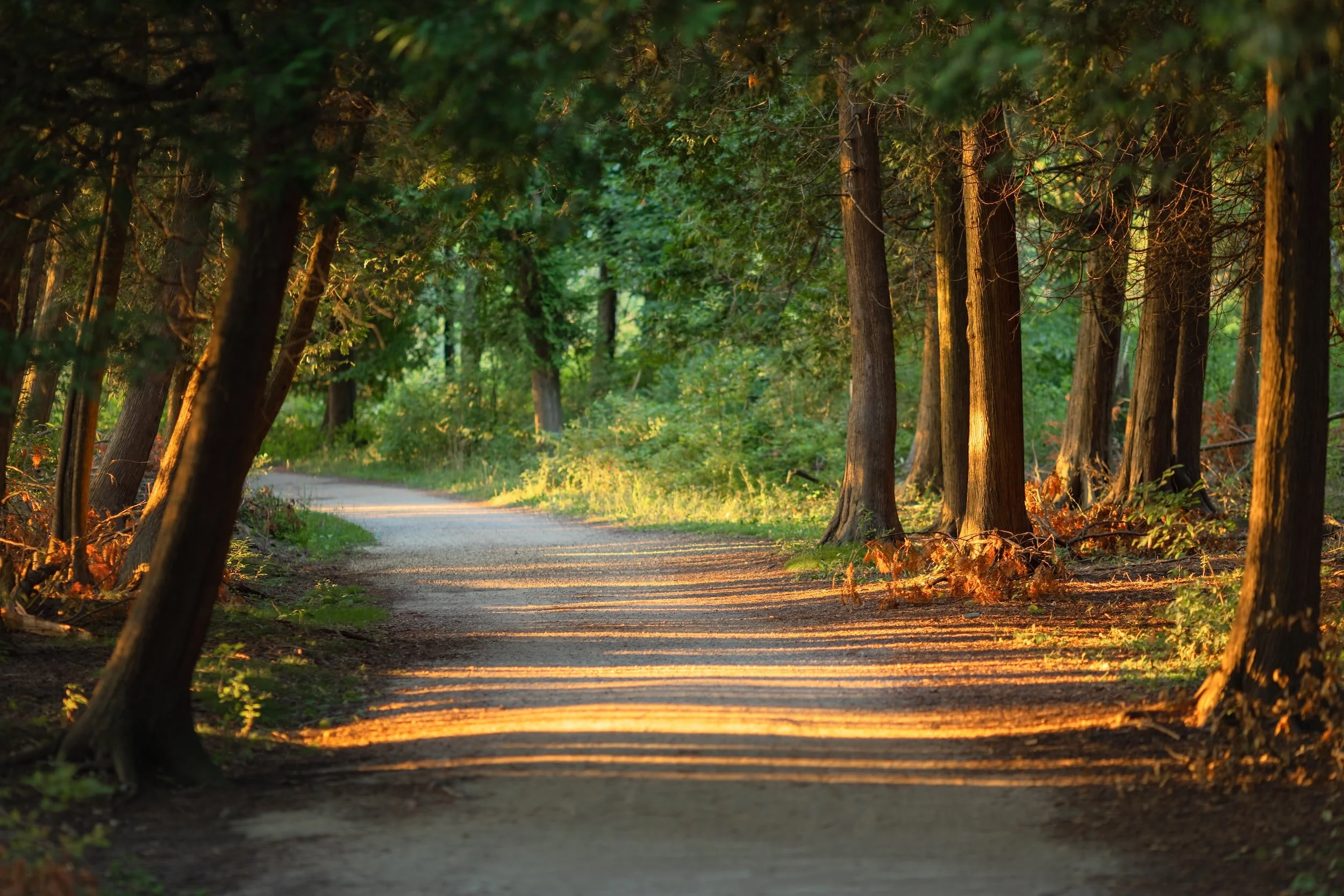 The Morning Devotional: WCF 17.2