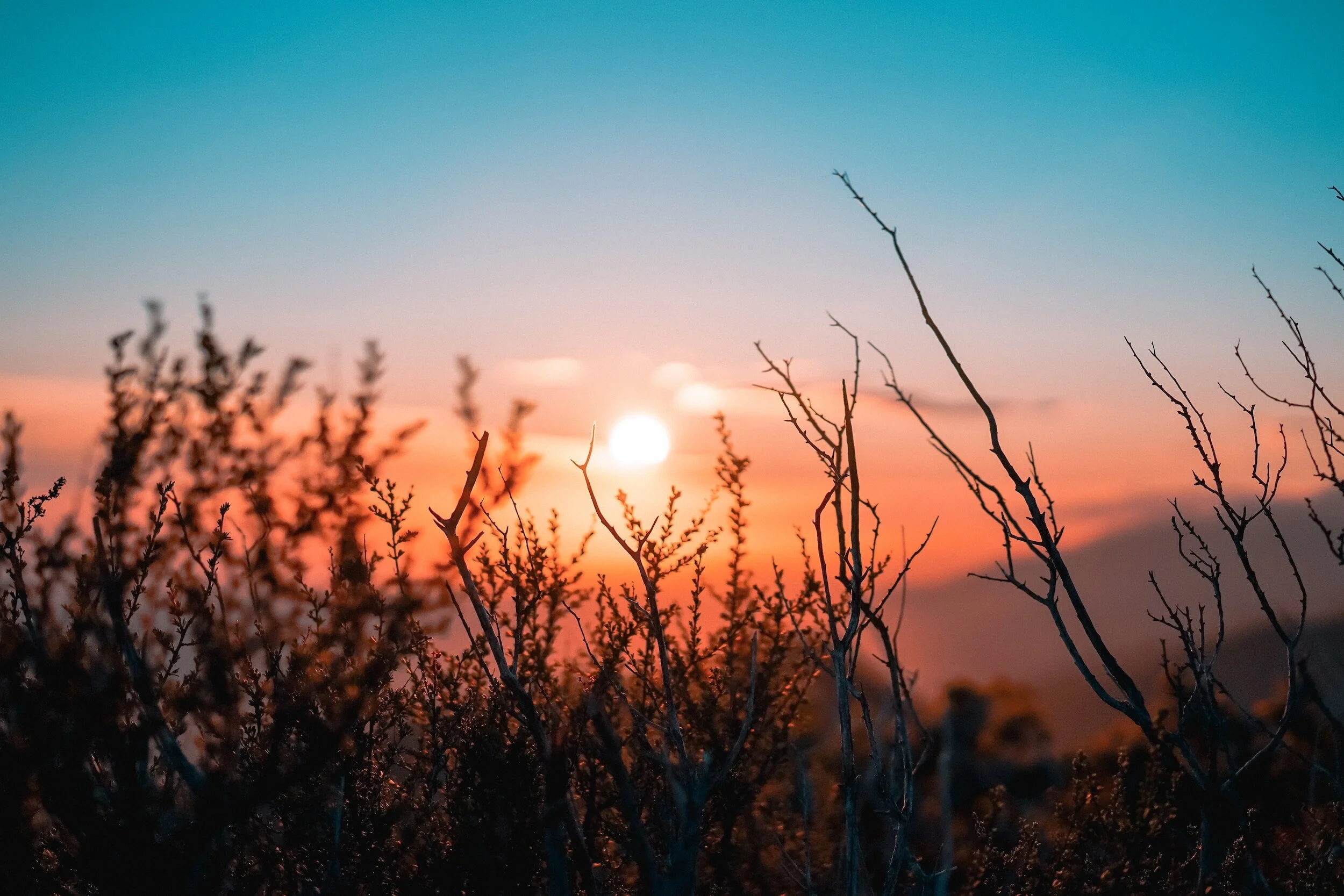 The Morning Devotional: WCF 21.1