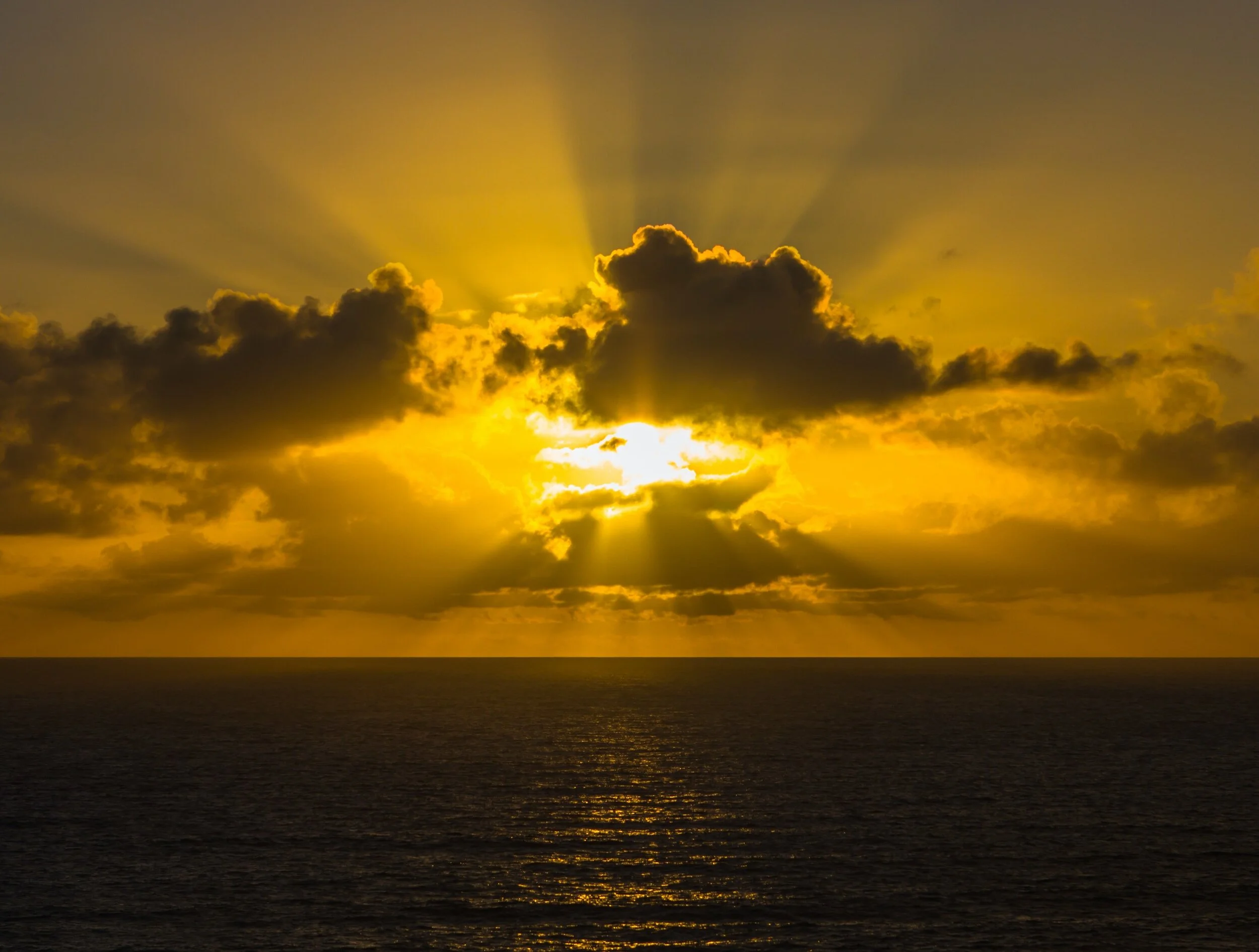 The Morning Devotional: WCF 33.1