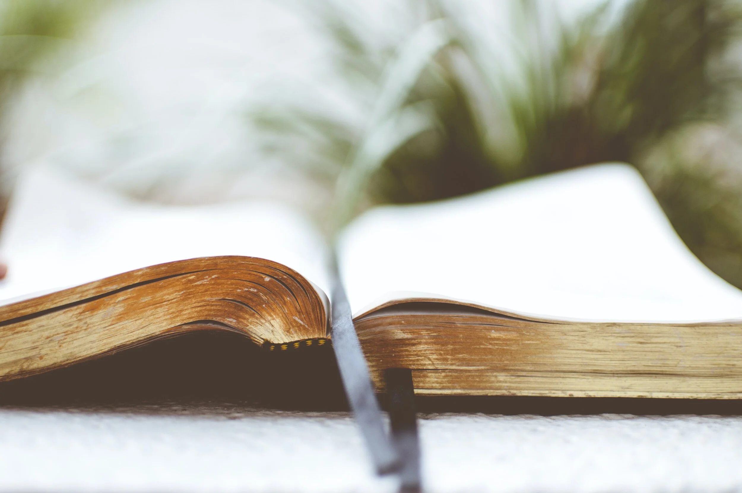 The Morning Devotional: Deuteronomy 9