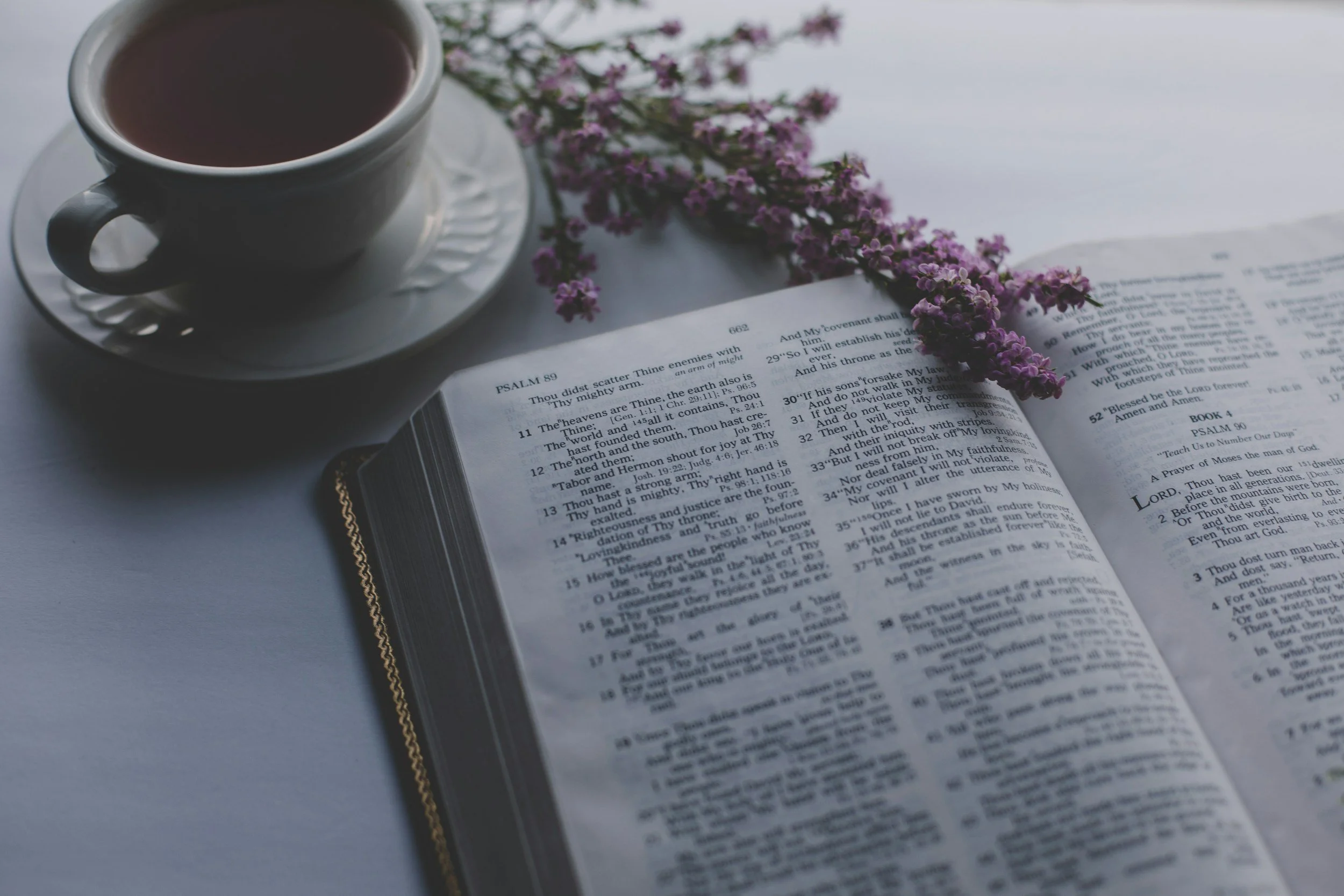 Devotional: Psalm 5