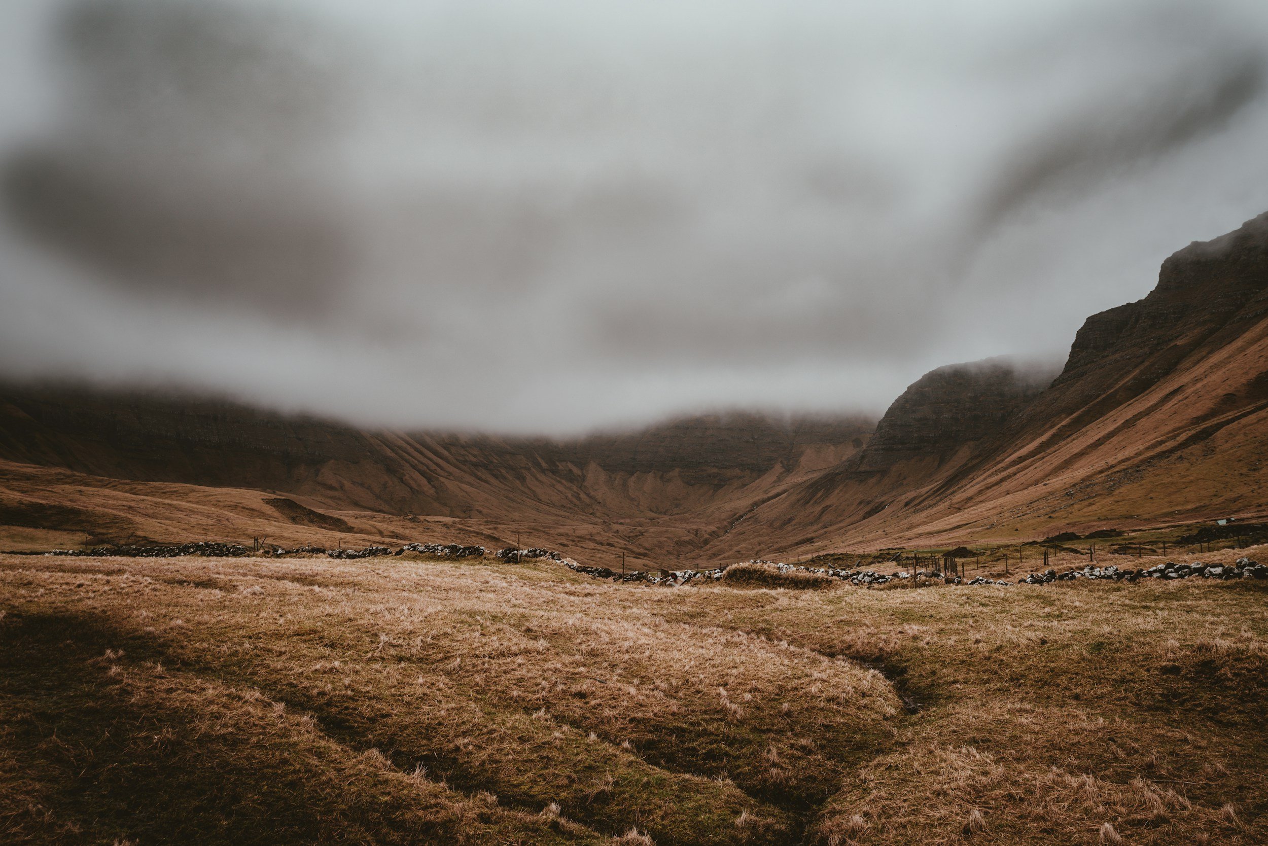 The Daily Prayer: Psalm 114