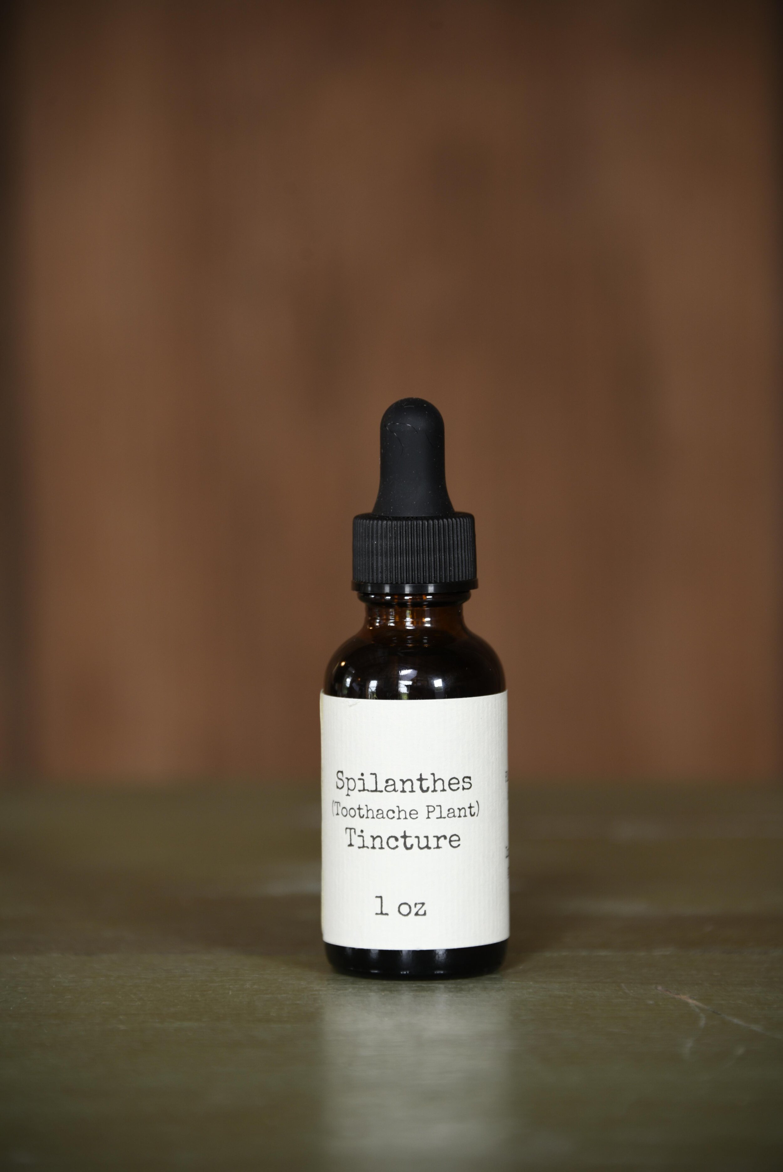 Bottle of Spilanthes (Toothache Plant) Tincture against a brown backdrop