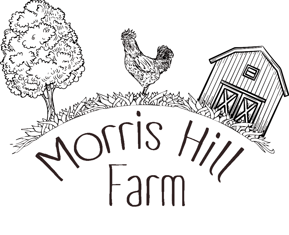 Morris Hill Farm