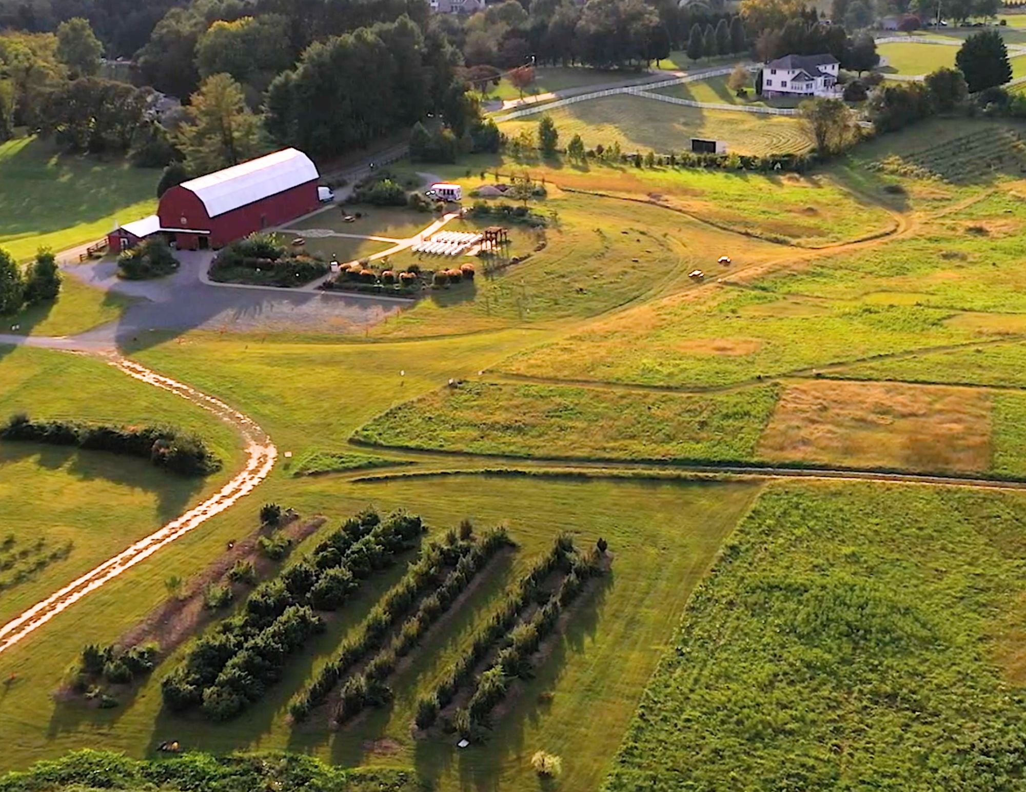 Farm photo.jpg