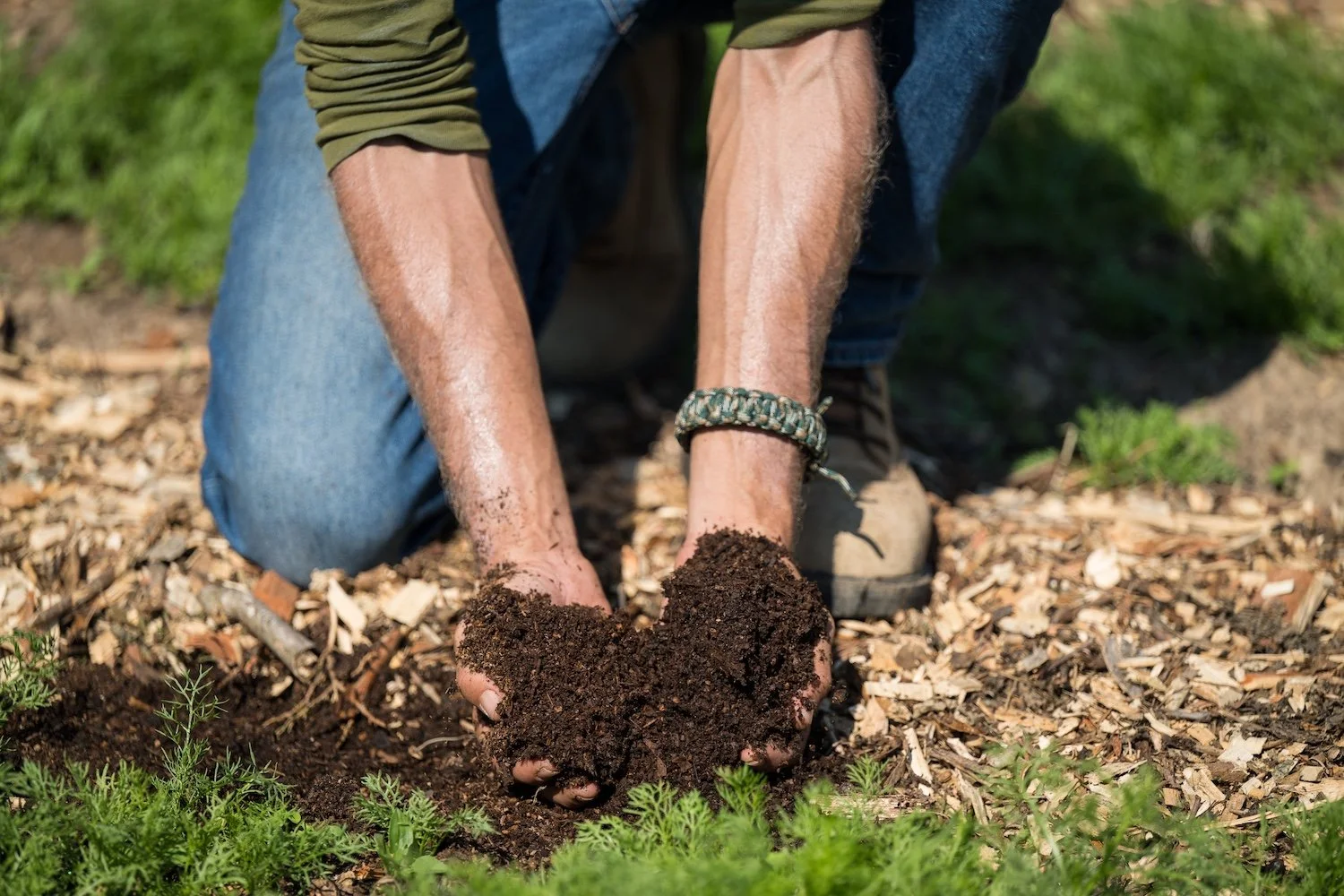 Man kneeling on wood chips holding two handfuls of dark brown soil