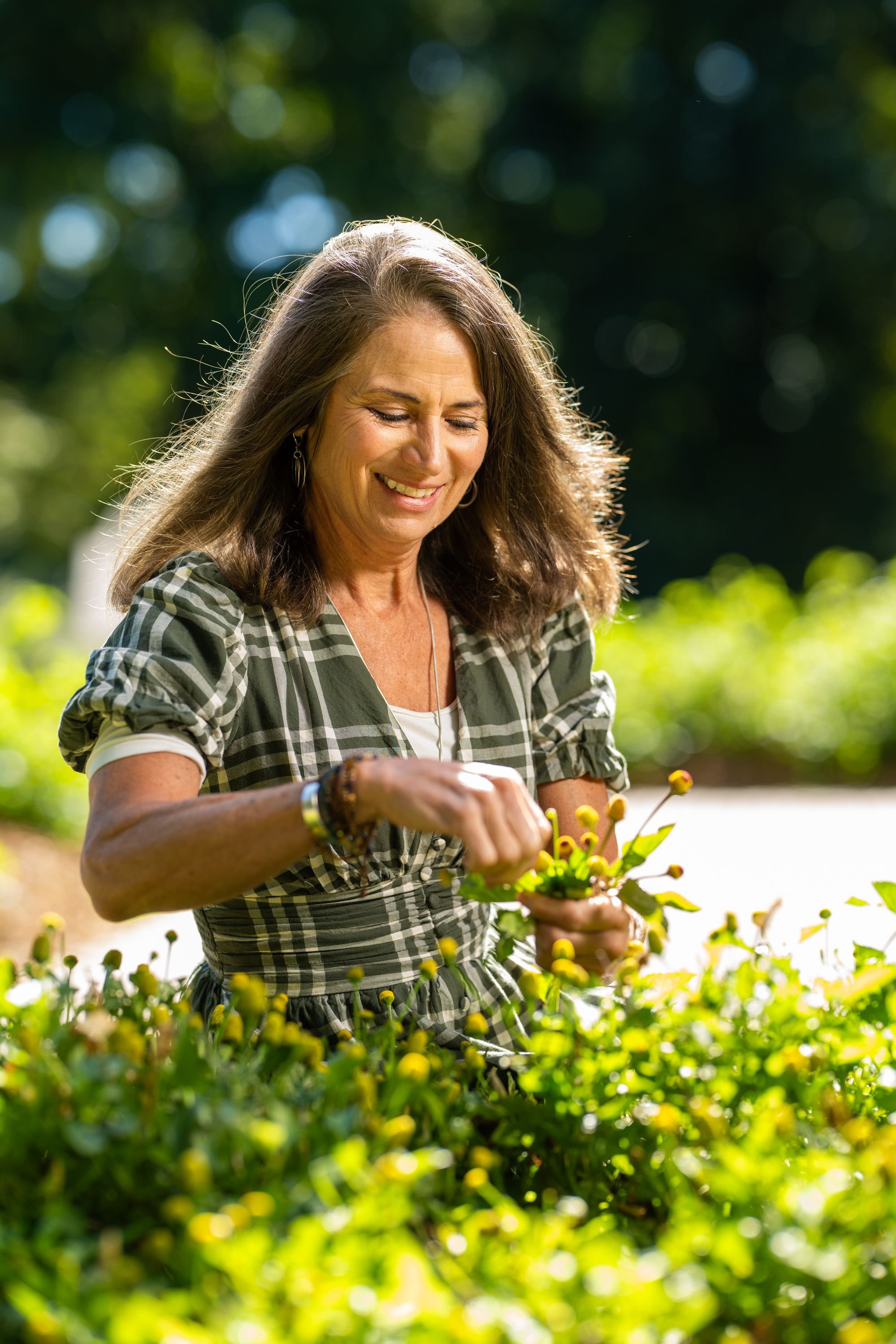 Woman in a green plaid dress holding Spilanthes plant and smiling