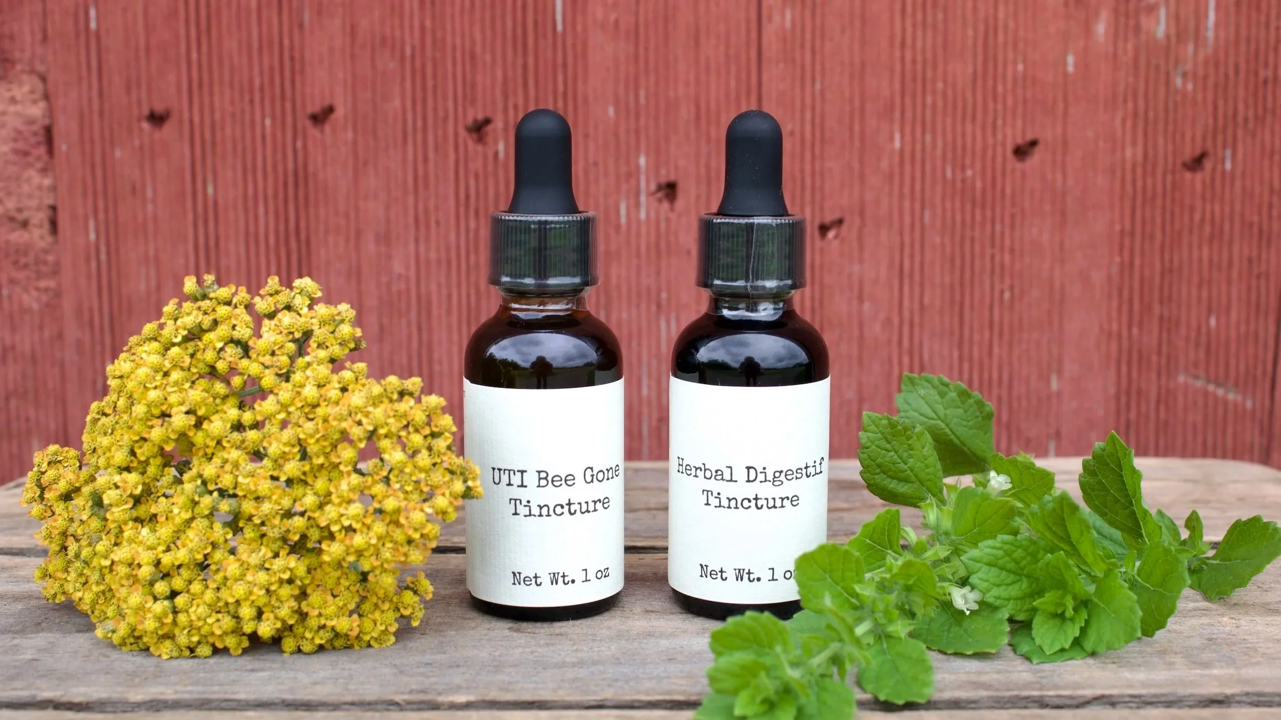 What Are Herbal Tinctures? Benefits, Uses, and How to Take Them