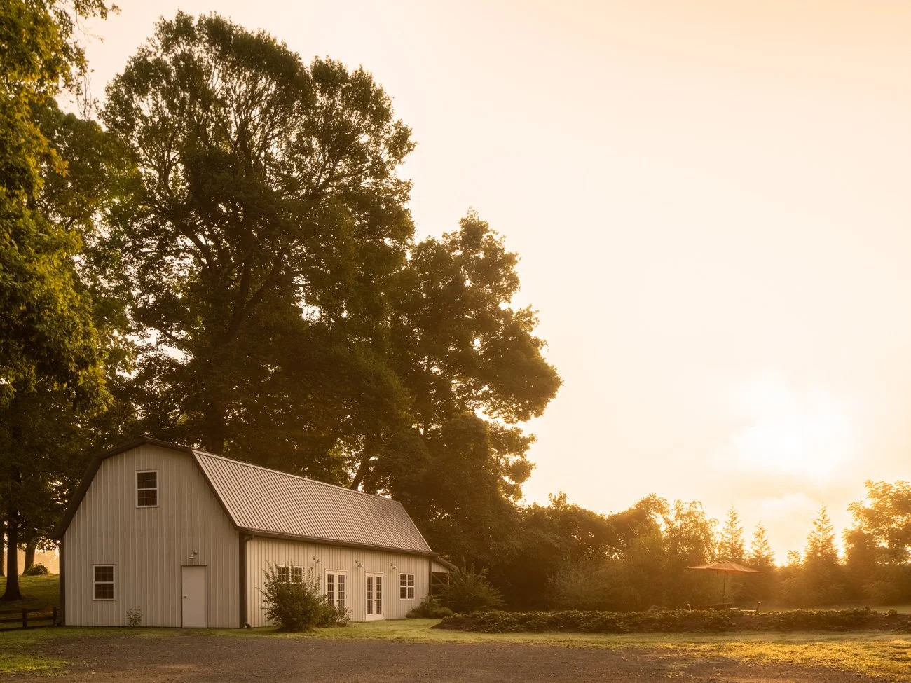 White barn backed by trees in evening light